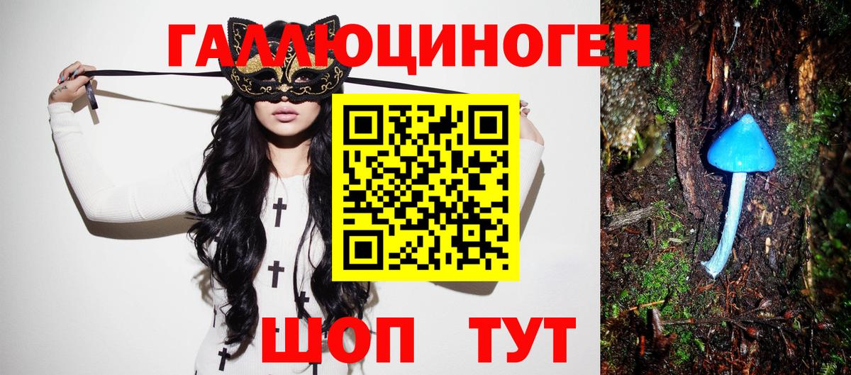 Галлюциногенные грибы Cubensis  Вход с VPN  Ленинск-Кузнецкий 