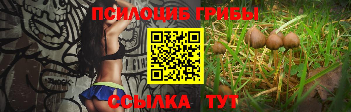 Галлюциногенные грибы GOLDEN TEACHER Ленинск-Кузнецкий